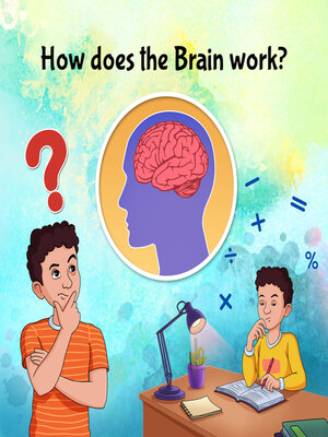 cover image of How does the human brain work?